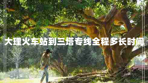 大理火車站到三塔專線全程多長時(shí)間