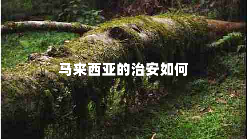 馬來(lái)西亞的治安如何