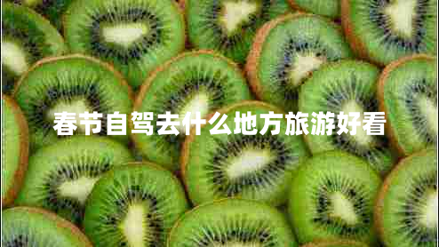 春節自駕去什么地方旅游好看