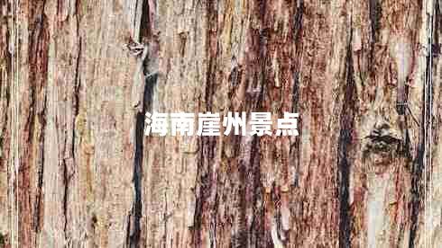 海南崖州景點