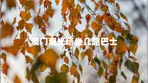 澳門(mén)觀(guān)光塔坐幾路巴士
