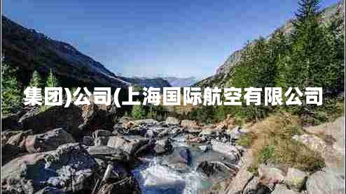 集團)公司(上海國際航空有限公司