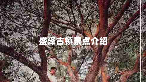 盛澤古鎮景點(diǎn)介紹