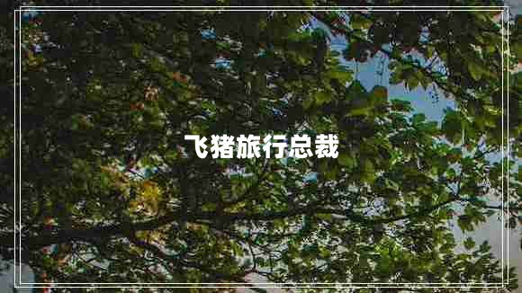 飛豬旅行總裁