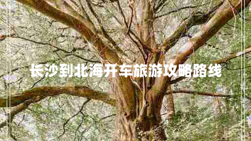 長(zhǎng)沙到北海開車旅游攻略路線