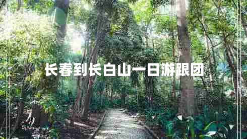 長(zhǎng)春到長(zhǎng)白山一日游跟團(tuán)