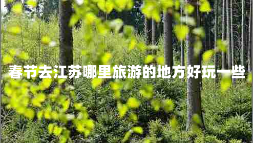 春節去江蘇哪里旅游的地方好玩一些