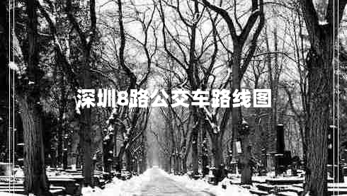 深圳8路公交車(chē)路線(xiàn)圖