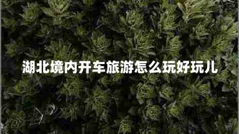 湖北境內開車旅游怎么玩好玩兒