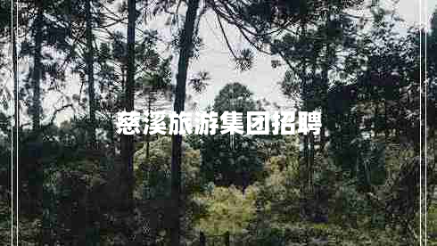 慈溪旅游集團招聘