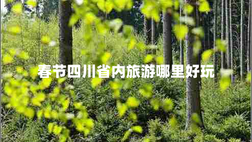 春節四川省內旅游哪里好玩