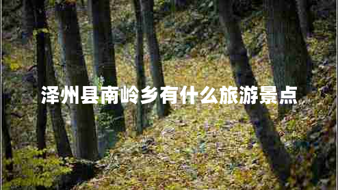 澤州縣南嶺鄉有什么旅游景點(diǎn)