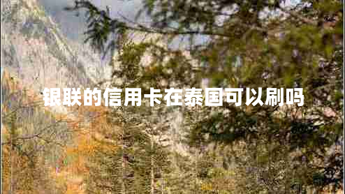 銀聯(lián)的信用卡在泰國(guó)可以刷嗎