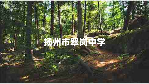 揚州市翠崗中學