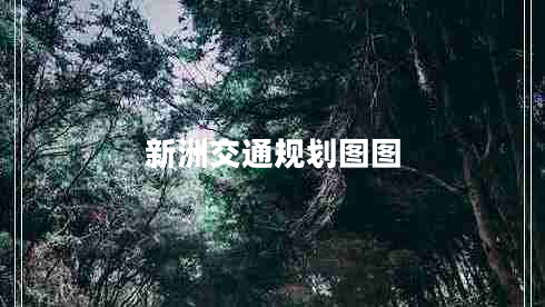 新洲交通規(guī)劃圖圖