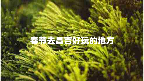 春節(jié)去昌吉好玩的地方