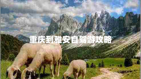重慶到雅安自駕游攻略