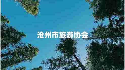 滄州市旅游協(xié)會(huì )