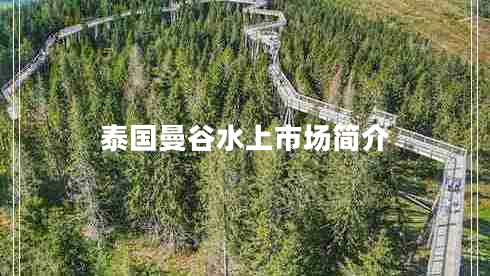 泰國(guó)曼谷水上市場(chǎng)簡(jiǎn)介