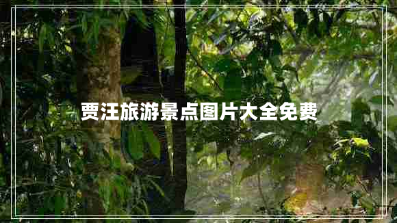 賈汪旅游景點(diǎn)圖片大全免費