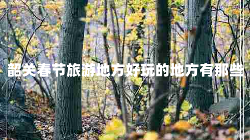 韶關春節(jié)旅游地方好玩的地方有那些