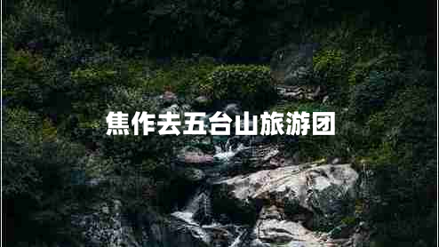 焦作去五臺(tái)山旅游團(tuán)