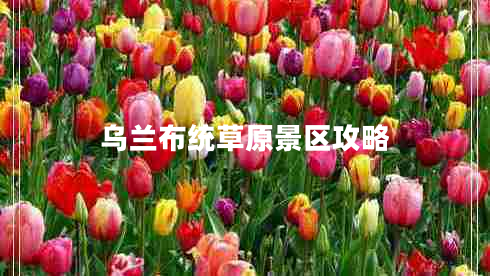烏蘭布統(tǒng)草原景區(qū)攻略