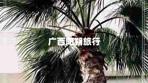 廣西陽(yáng)朔旅行