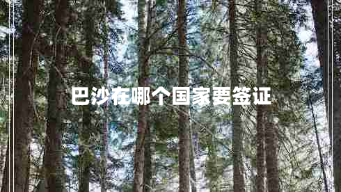巴沙在哪個(gè)國(guó)家要簽證