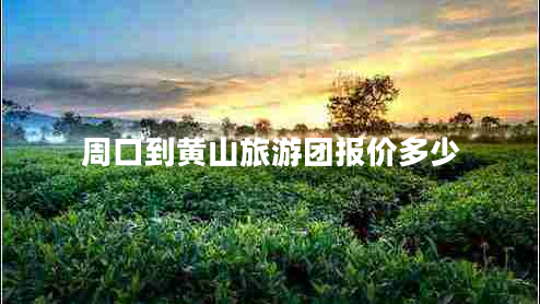 周口到黃山旅游團報價(jià)多少