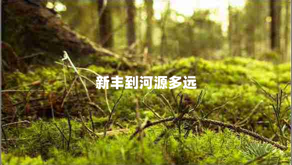 新豐到河源多遠(yuǎn)