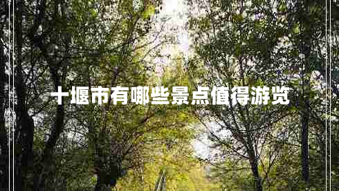 十堰市有哪些景點值得游覽