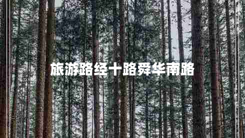 旅游路經(jīng)十路舜華南路
