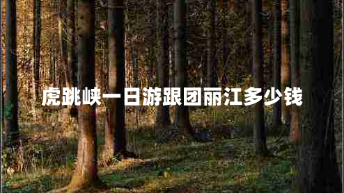 虎跳峽一日游跟團(tuán)麗江多少錢(qián)