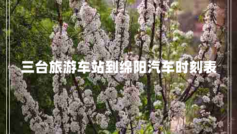 三臺(tái)旅游車(chē)站到綿陽(yáng)汽車(chē)時(shí)刻表