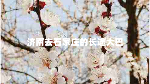 濟南去石家莊的長(cháng)途大巴