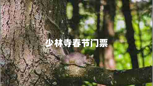 少林寺春節(jié)門(mén)票