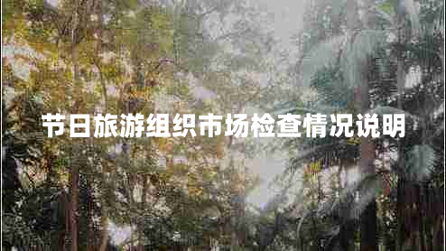 節(jié)日旅游組織市場檢查情況說明