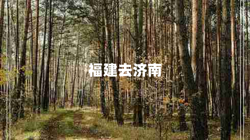 福建去濟南