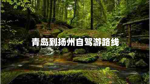 青島到揚州自駕游路線(xiàn)