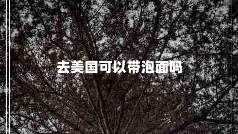 去美國(guó)可以帶泡面嗎