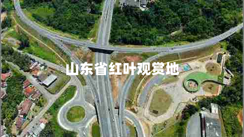 山東省紅葉觀(guān)賞地