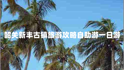 韶關新豐古鎮(zhèn)旅游攻略自助游一日游