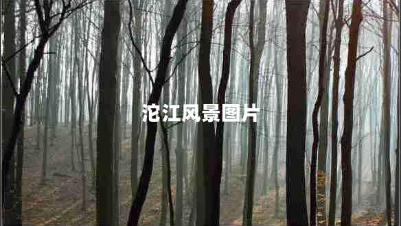 沱江風景圖片