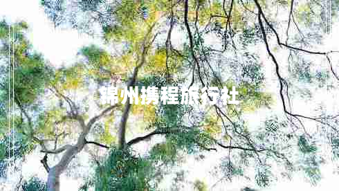 錦州攜程旅行社