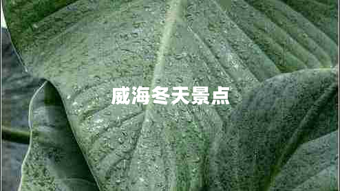 威海冬天景點