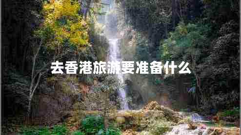 去香港旅游要準備什么