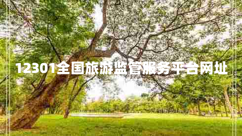 12301全國(guó)旅游監(jiān)管服務(wù)平臺(tái)網(wǎng)址