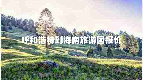 呼和浩特到海南旅游團報價