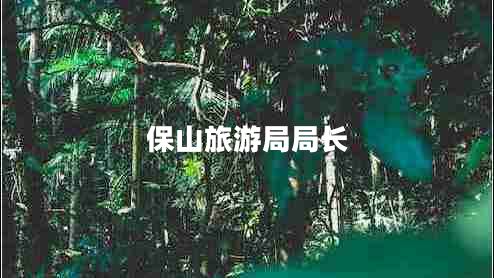 保山旅游局局長(zhǎng)